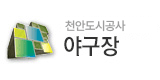 천안시 야구장