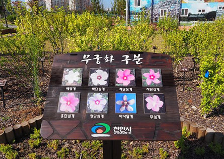 무궁화숲길5