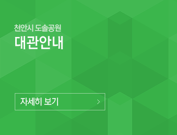 천안시 도솔공원 대관강내 자세히보기